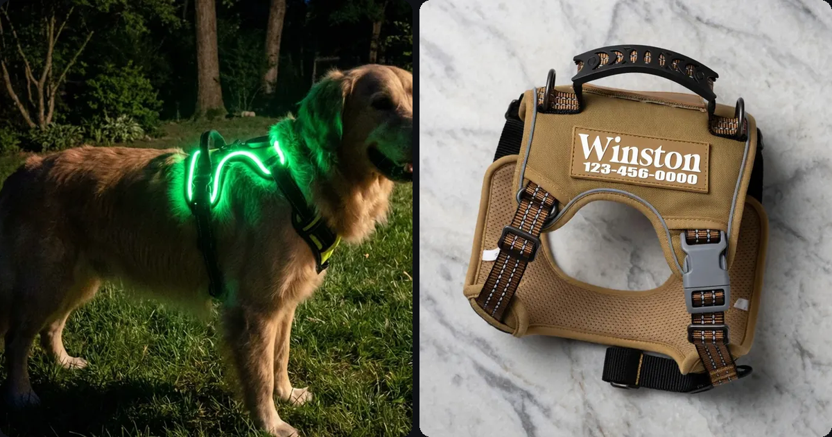 LED vs. GPS Dog Collars: Which Keeps Your Pet Safer?