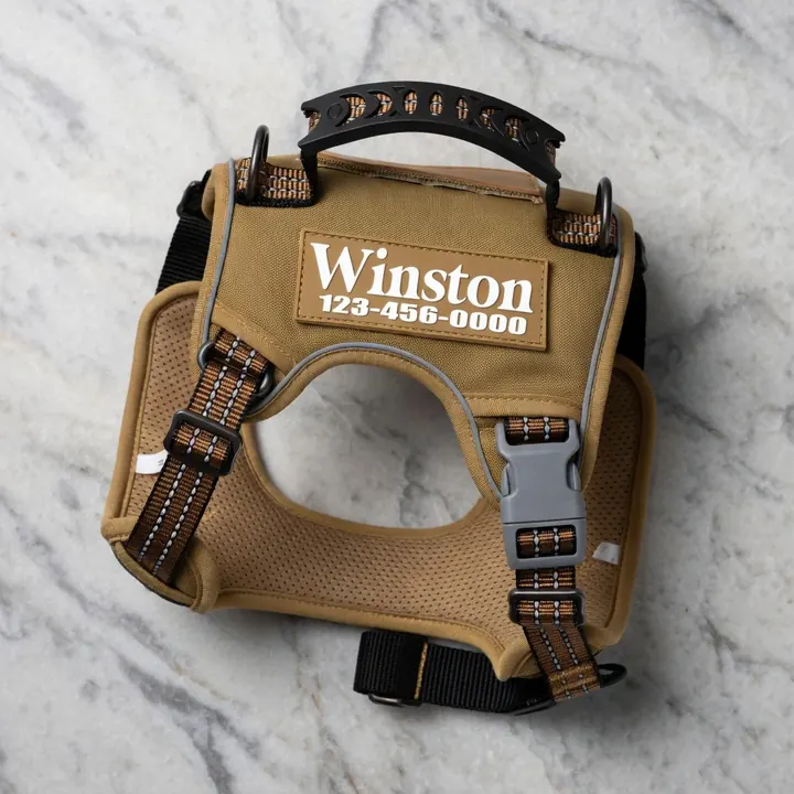 Wearables & Safety