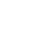 Check icon